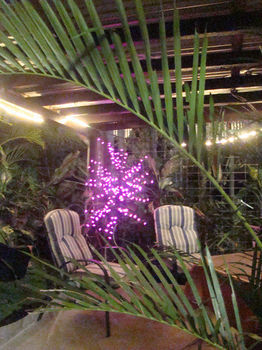 Orchid Hostel *