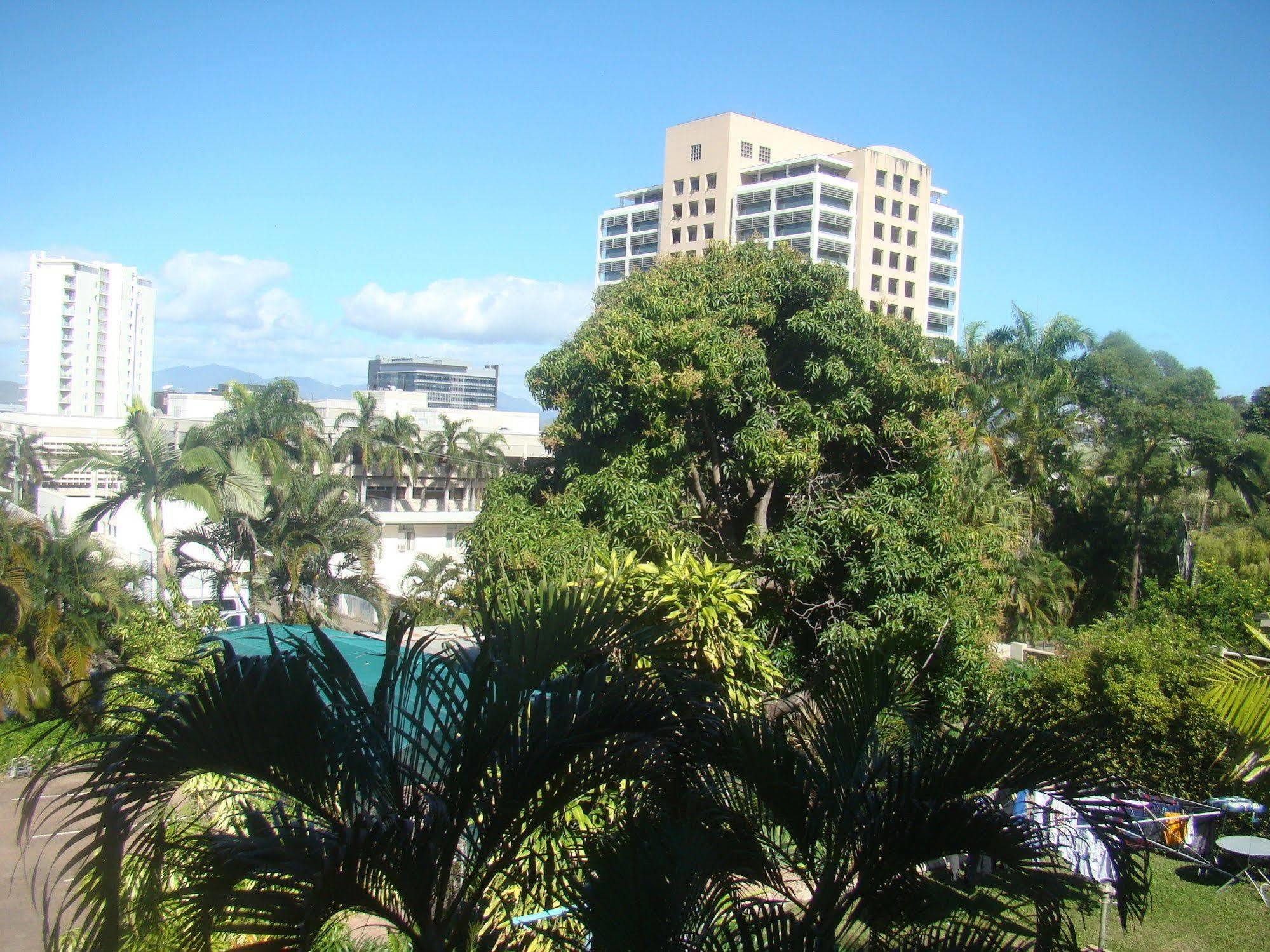 Orchid * Townsville